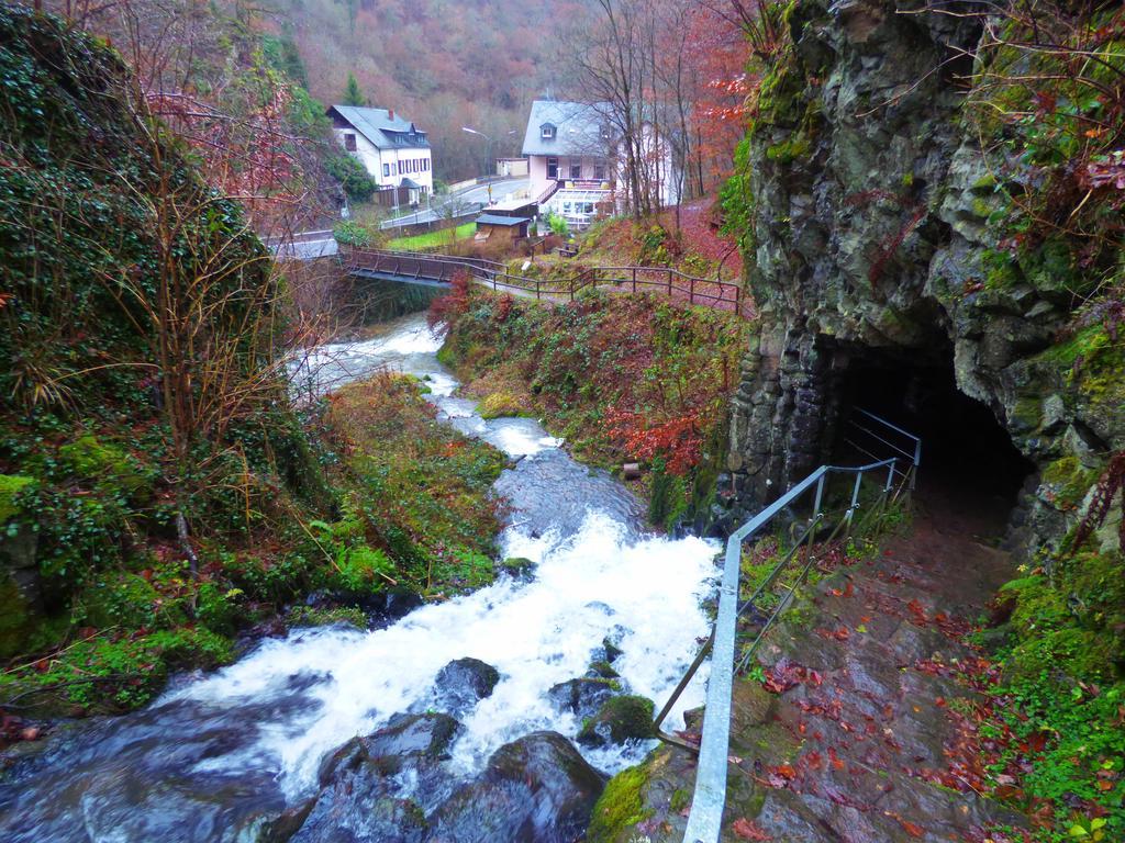 Ferienwohnungen Schenk Schmitz Bad Bertrich Esterno foto