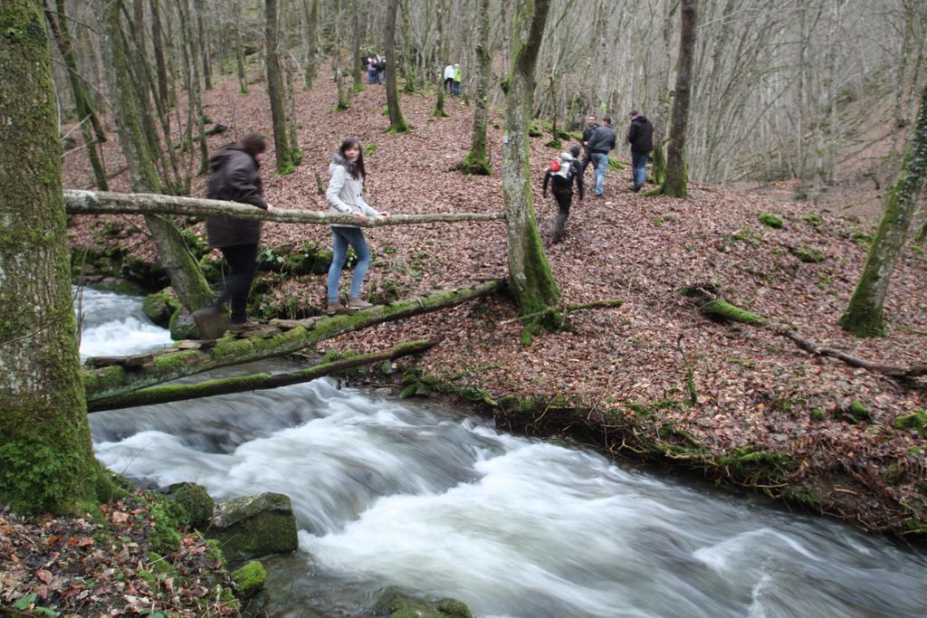Ferienwohnungen Schenk Schmitz Bad Bertrich Esterno foto