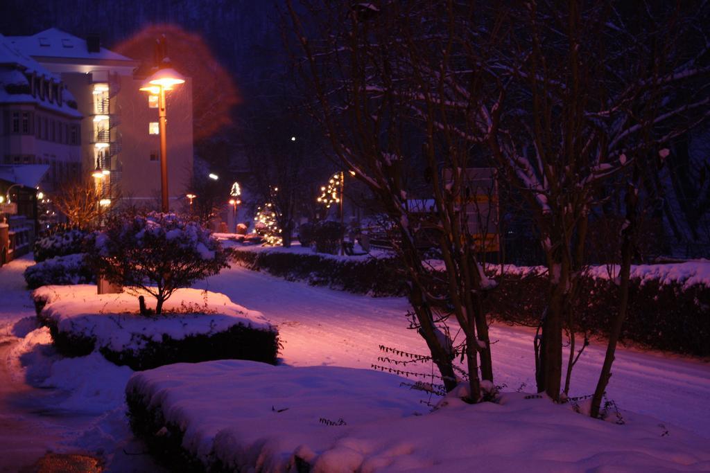 Ferienwohnungen Schenk Schmitz Bad Bertrich Esterno foto